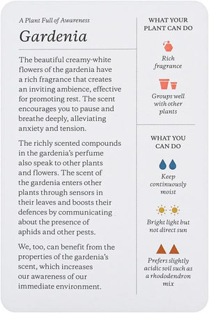 Plantfulness