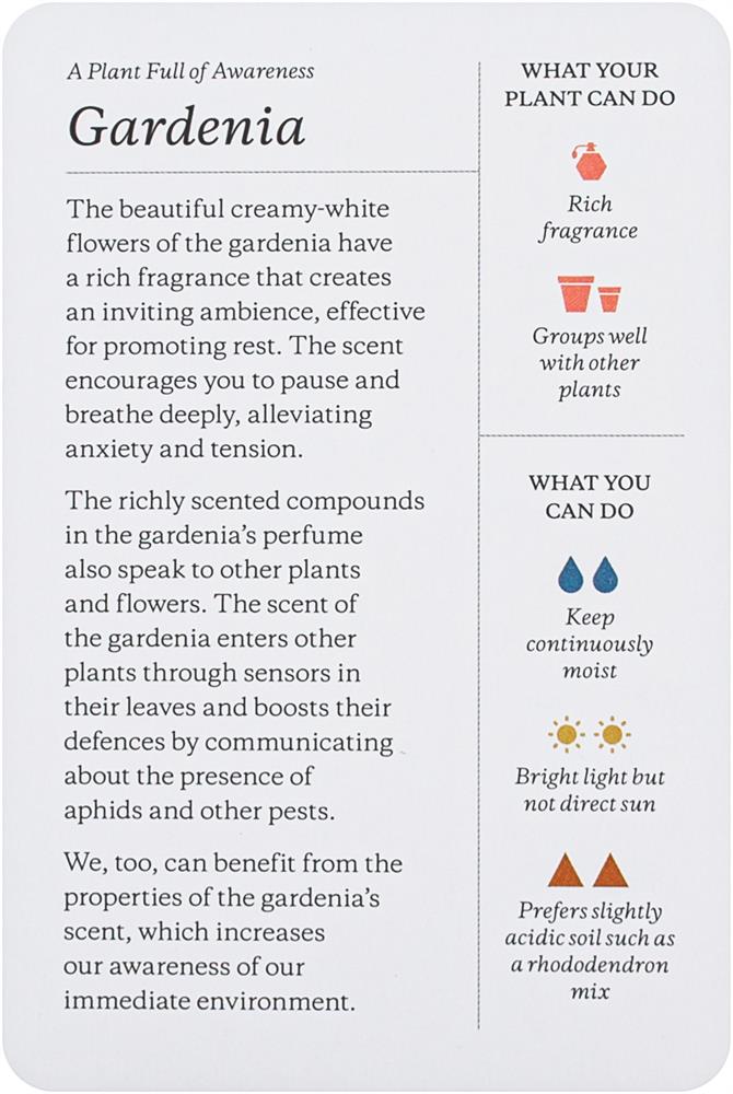Plantfulness
