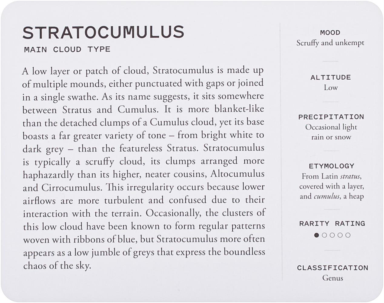 Cloud Spotter