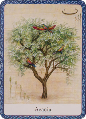 Wisdom of trees oracle