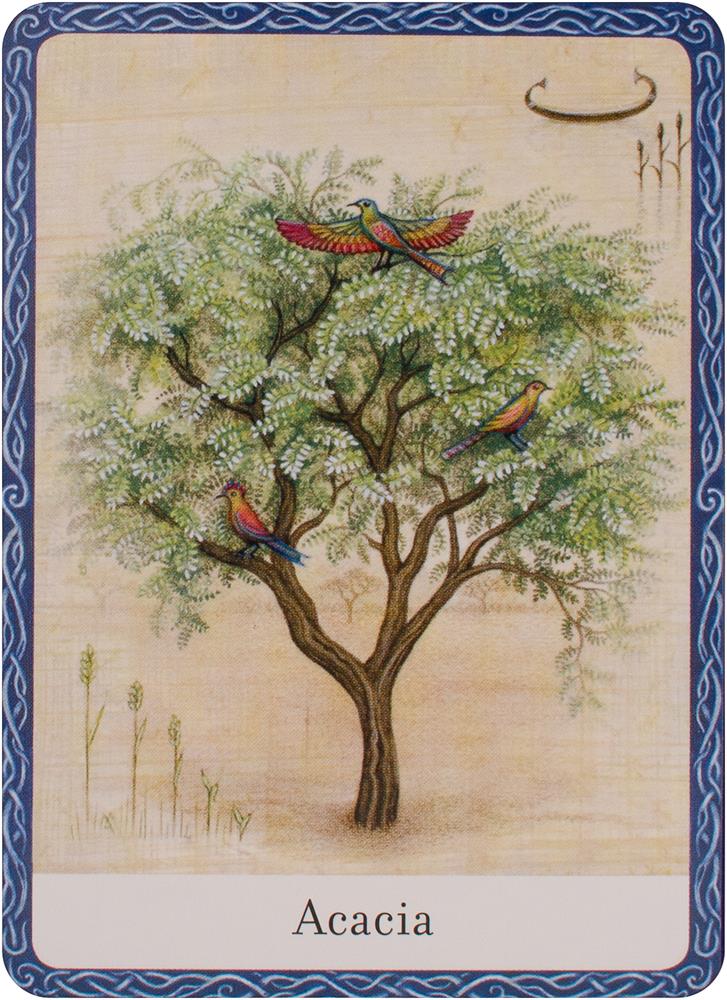 Wisdom of trees oracle