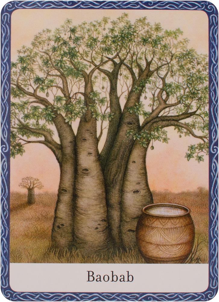 Wisdom of trees oracle
