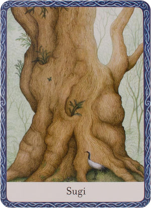 Wisdom of trees oracle