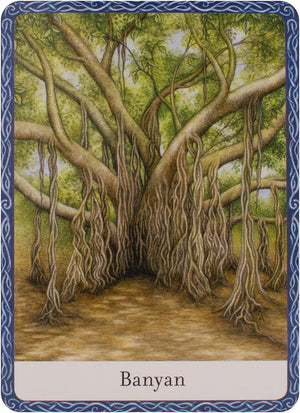 Wisdom of trees oracle