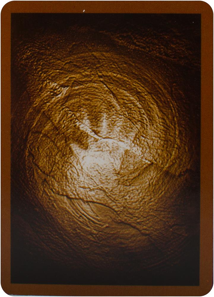Shamans oracle