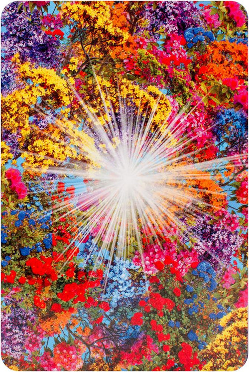Chakra Wisdom Tarot: 78 Cards with Illustrated Guidebook