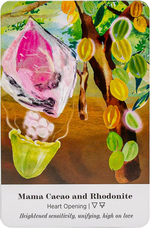 Earth Alchemy Oracle Card Deck - Connect to the wisdom and beauty of the pl