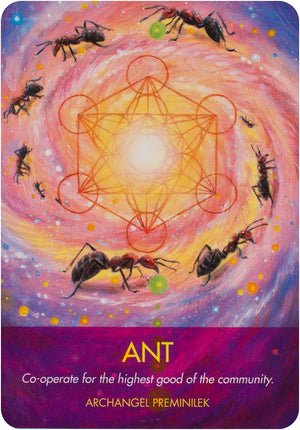 Archangel Animal Oracle Cards