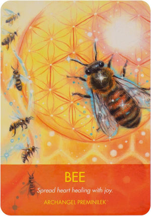 Archangel Animal Oracle Cards