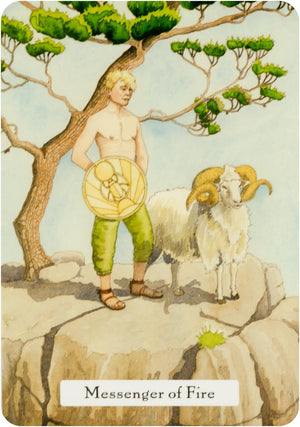 The Witches' Wisdom Tarot