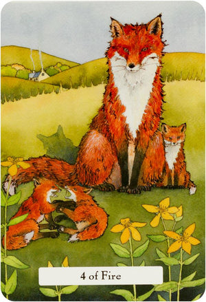 The Witches' Wisdom Tarot