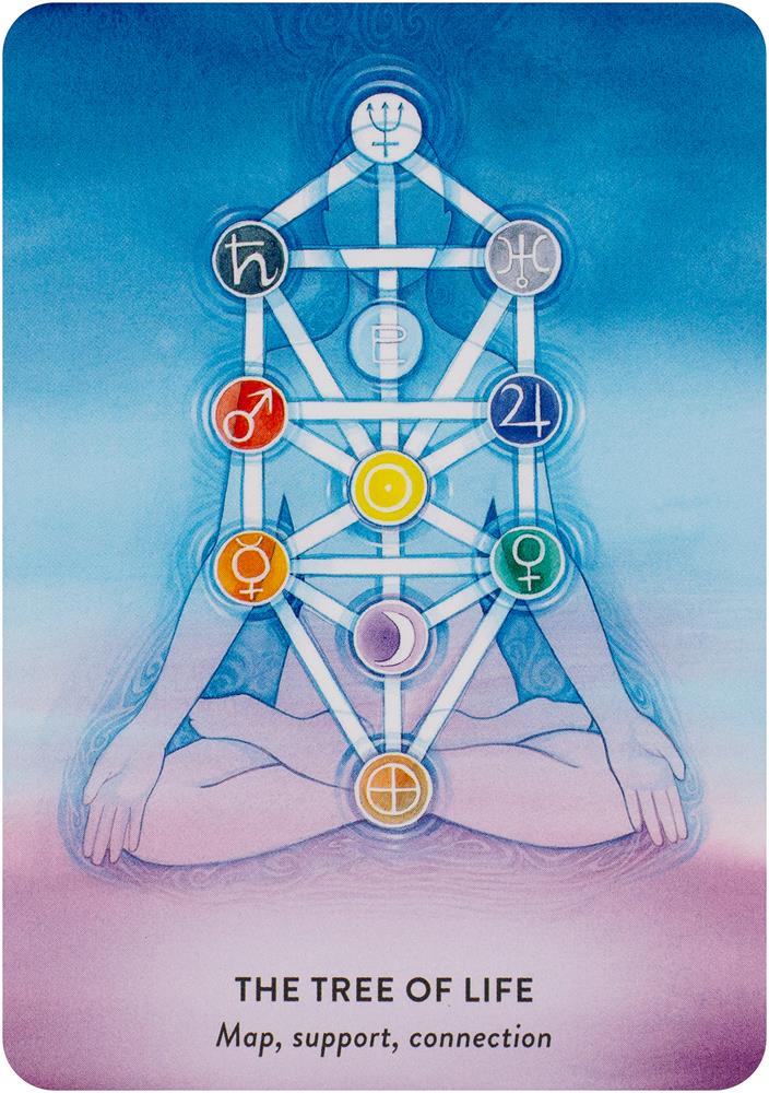 The Tree of Life Oracle