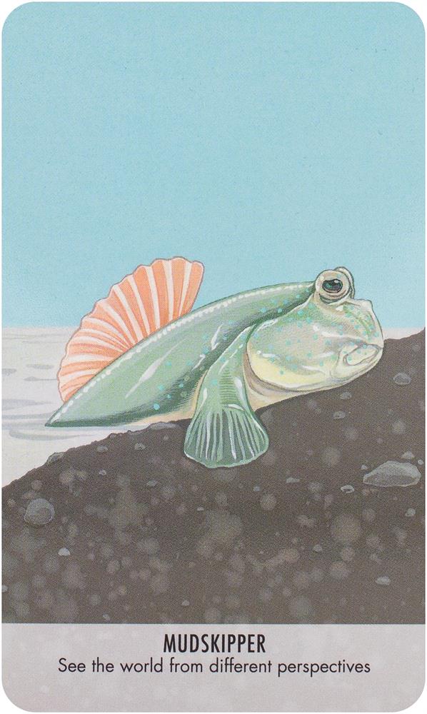 Unusual Animal Messages Oracle Deck