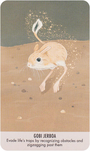 Unusual Animal Messages Oracle Deck