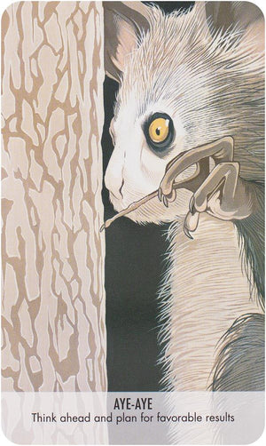 Unusual Animal Messages Oracle Deck
