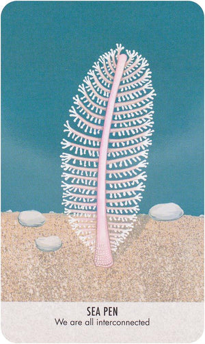 Unusual Animal Messages Oracle Deck