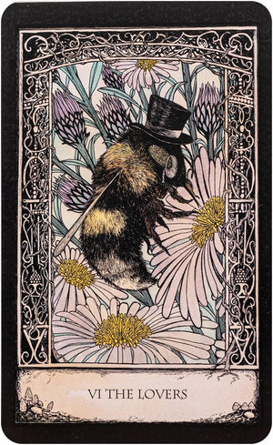 The Tarot of Tales a folk-tale inspired boxed set including a full deck of 78 specially commissioned tarot ca