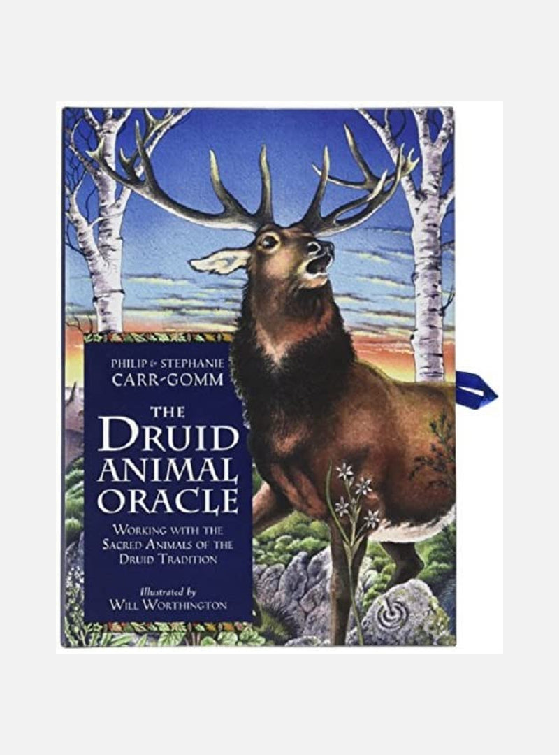 Druid Animal Oracle