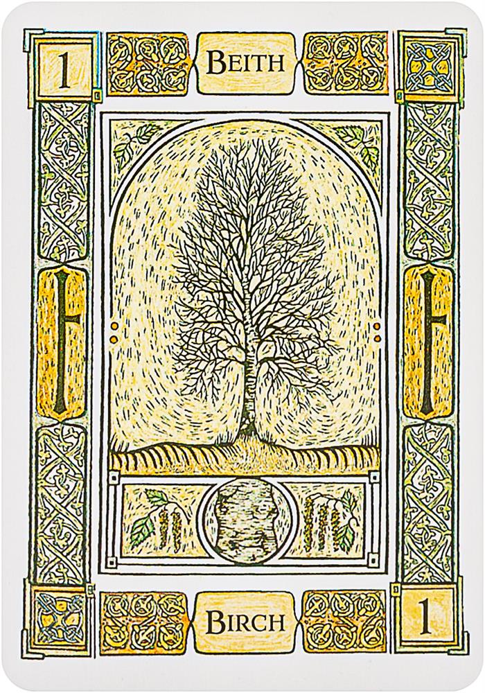 The Celtic Tree Oracle: A System of Divination