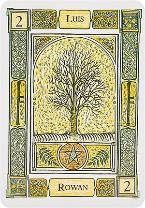 The Celtic Tree Oracle: A System of Divination