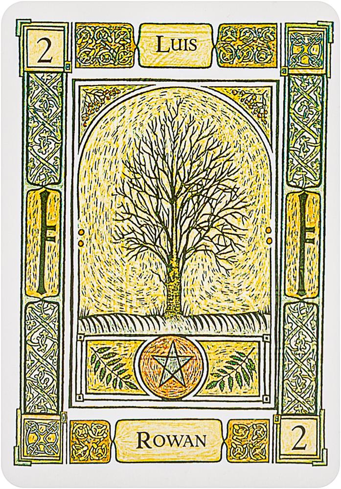 The Celtic Tree Oracle: A System of Divination