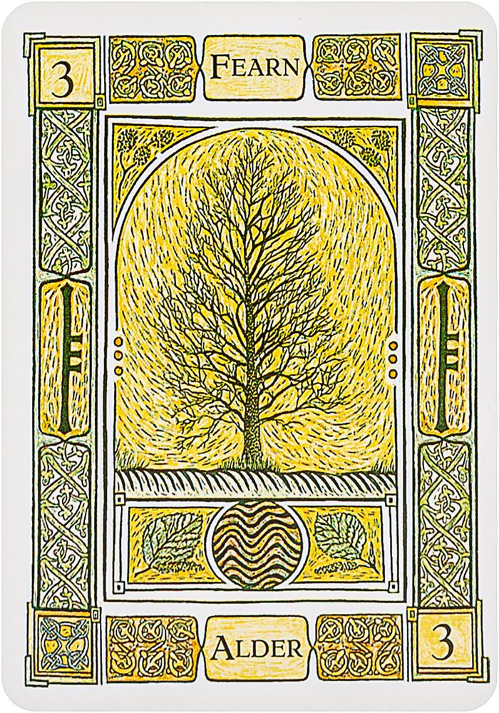 The Celtic Tree Oracle: A System of Divination