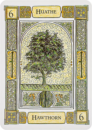 The Celtic Tree Oracle: A System of Divination