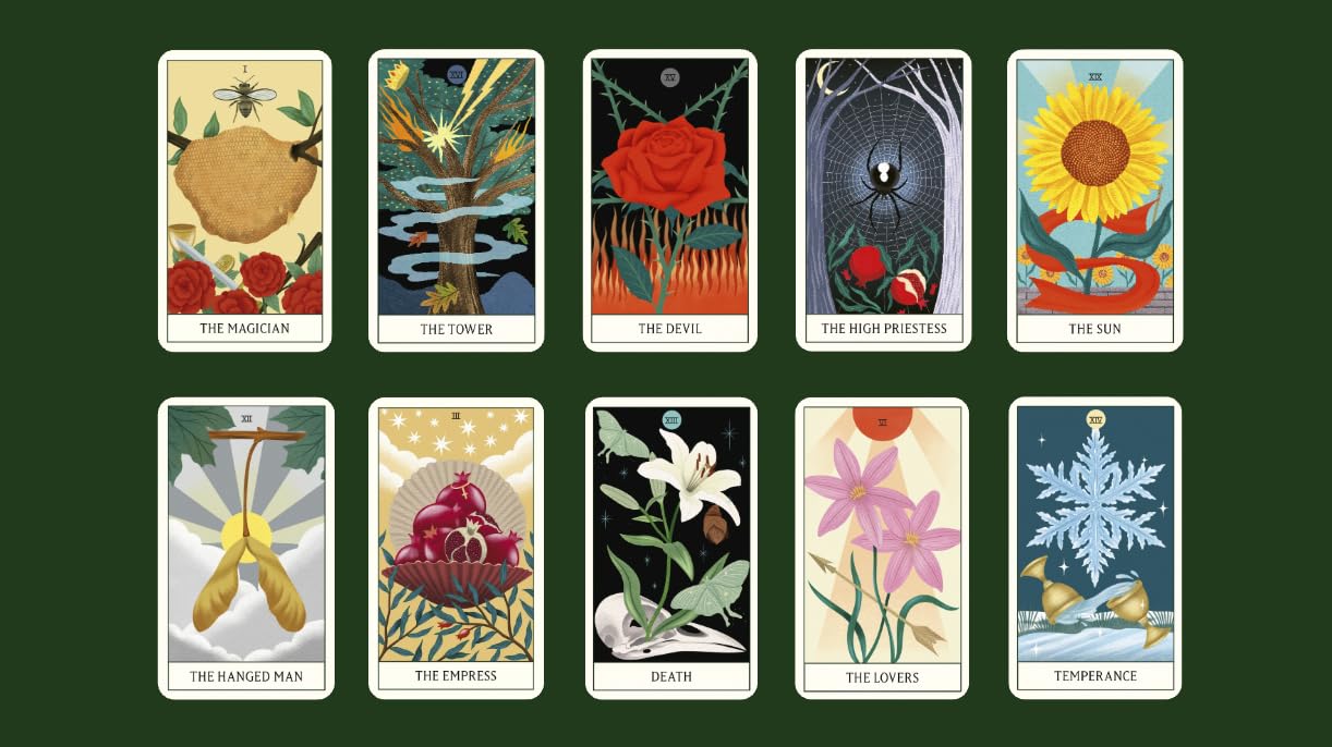 Nature Tarot: 78-card deck and guidebook