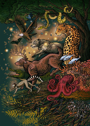 The Witch's Way Home Oracle: A 44-Card Deck and Guidebook