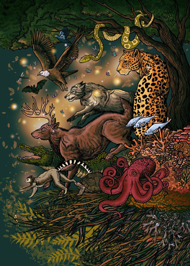The Witch's Way Home Oracle: A 44-Card Deck and Guidebook