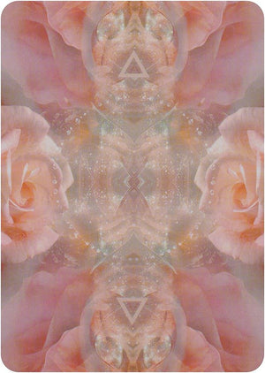 The Rose Pocket Oracle