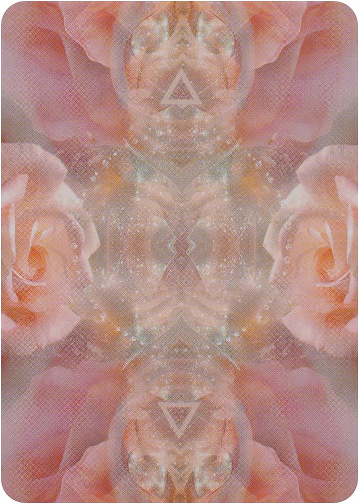 The Rose Pocket Oracle