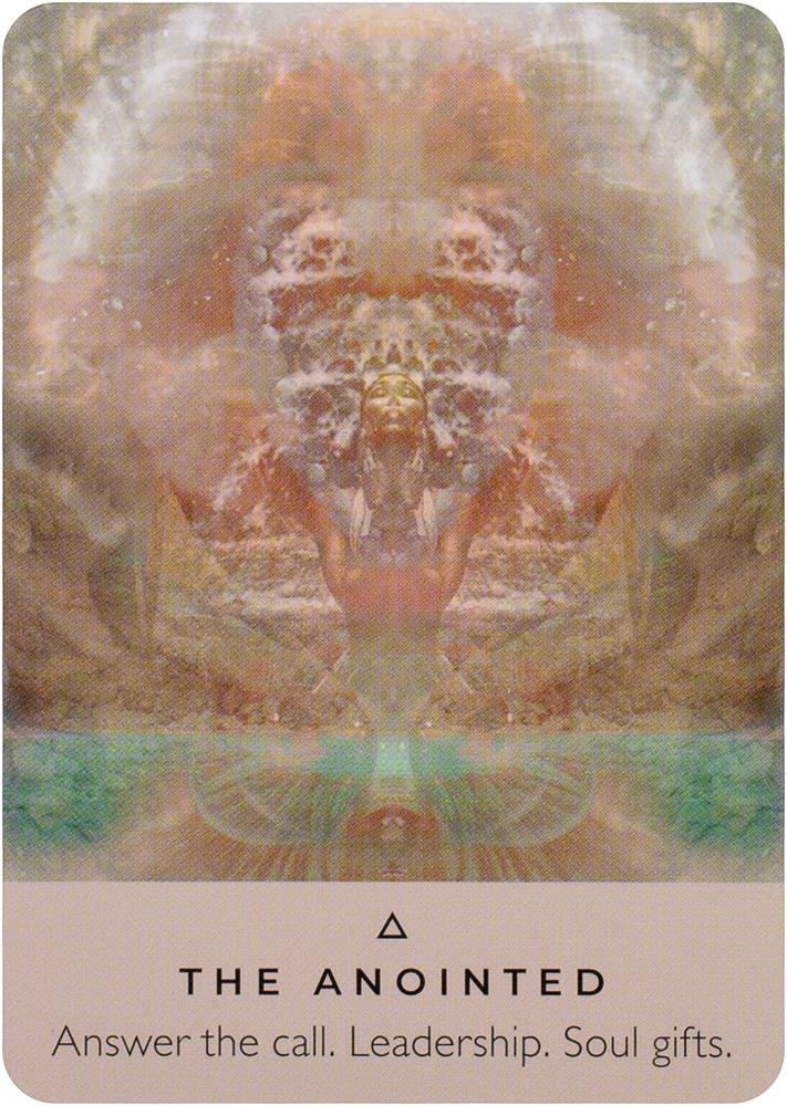 The Rose Pocket Oracle
