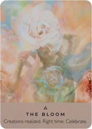 The Rose Pocket Oracle