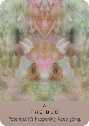 The Rose Pocket Oracle