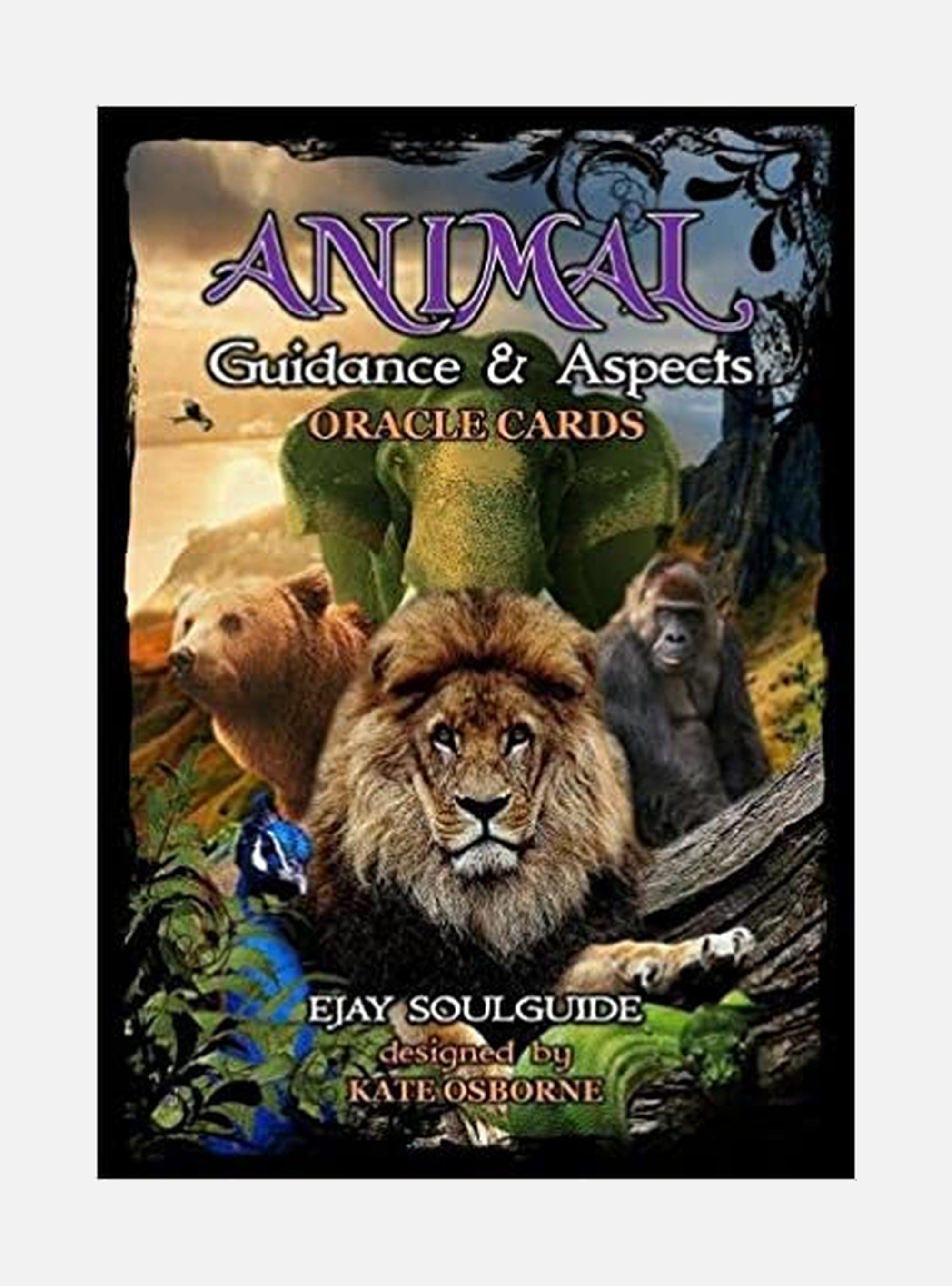 Animal Guidance & Aspects Oracle Cards
