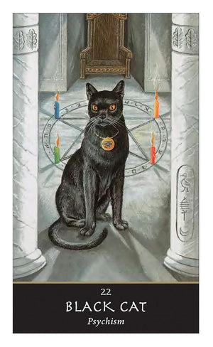 Witches' Oracle - New Edition