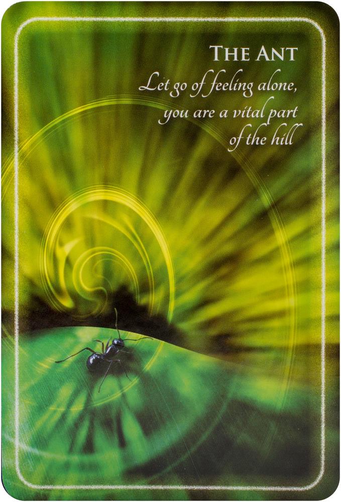 Animal Whispers Empowerment Cards: Animal Wisdom to Empower, Heal and Inspire