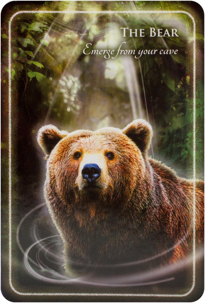 Animal Whispers Empowerment Cards: Animal Wisdom to Empower, Heal and Inspire