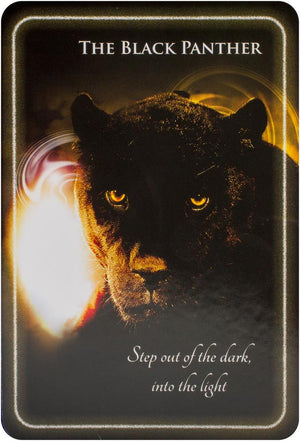 Animal Whispers Empowerment Cards: Animal Wisdom to Empower, Heal and Inspire
