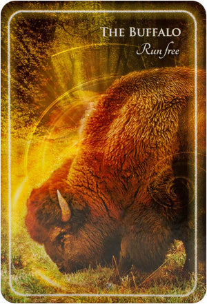 Animal Whispers Empowerment Cards: Animal Wisdom to Empower, Heal and Inspire