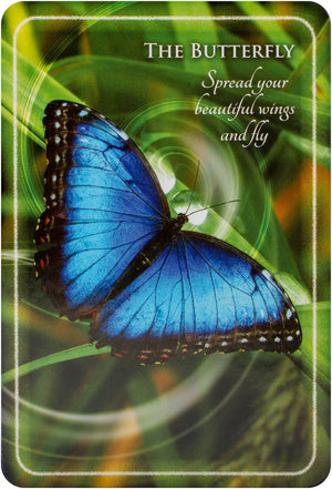 Animal Whispers Empowerment Cards: Animal Wisdom to Empower, Heal and Inspire