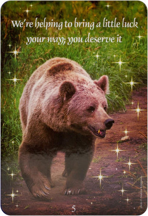Messages From Heaven Communication Cards : Love & Guidance from the Other Side of Life