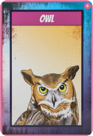 Shamanic Power Animal Oracle Cards : Easy-to-Use Cards and Spreads
