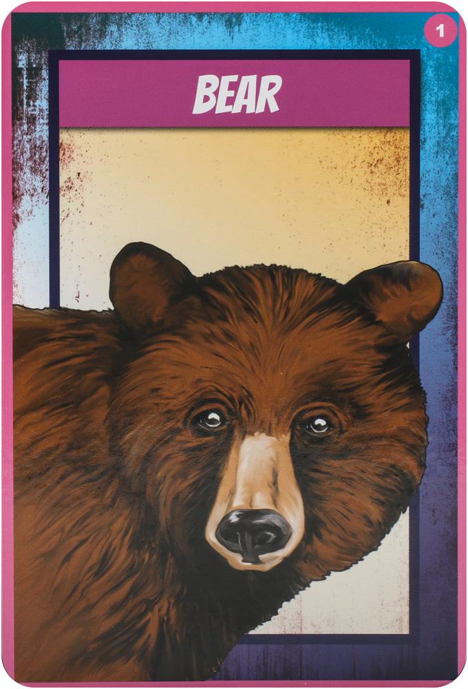 Shamanic Power Animal Oracle Cards : Easy-to-Use Cards and Spreads