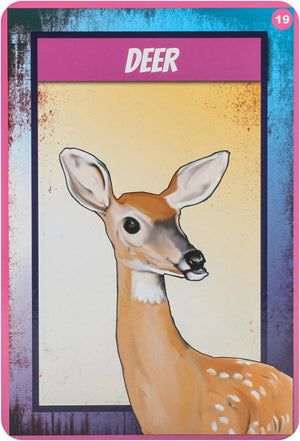 Shamanic Power Animal Oracle Cards : Easy-to-Use Cards and Spreads