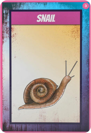 Shamanic Power Animal Oracle Cards : Easy-to-Use Cards and Spreads