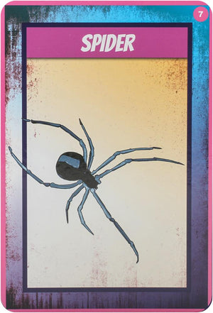 Shamanic Power Animal Oracle Cards : Easy-to-Use Cards and Spreads
