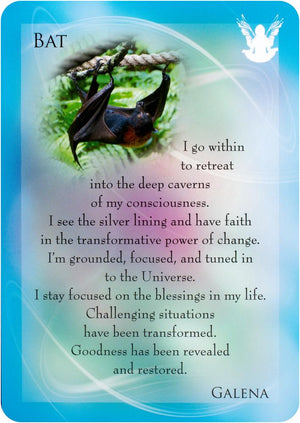 Animal allies & gemstone guardian cards