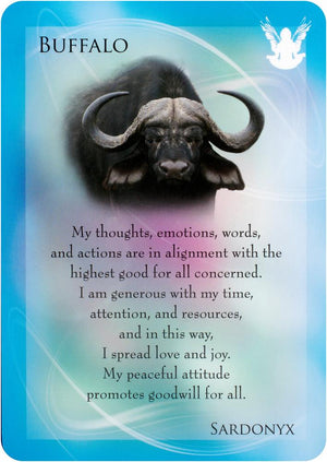 Animal allies & gemstone guardian cards
